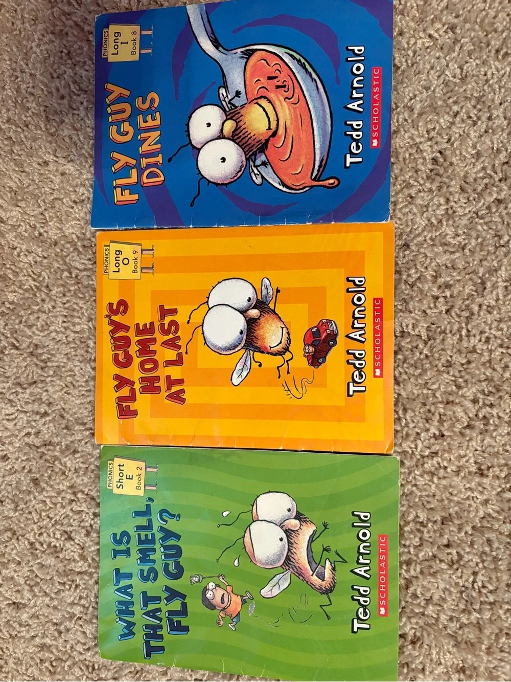 Fly Guy Phonics Scholastic Kids Book by Tedd Arnold